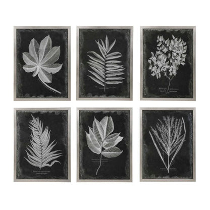 CUADROS FLORINDA - Time of Interiors 
