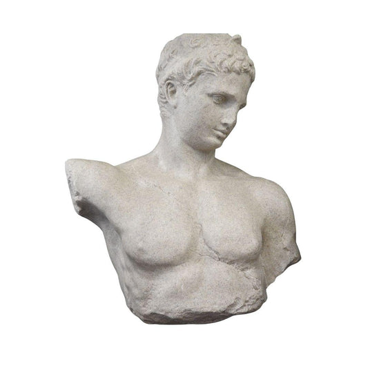 Busto Fabio