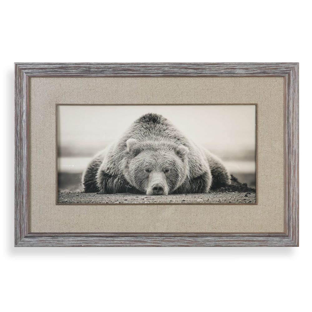 Cuadro  Oso