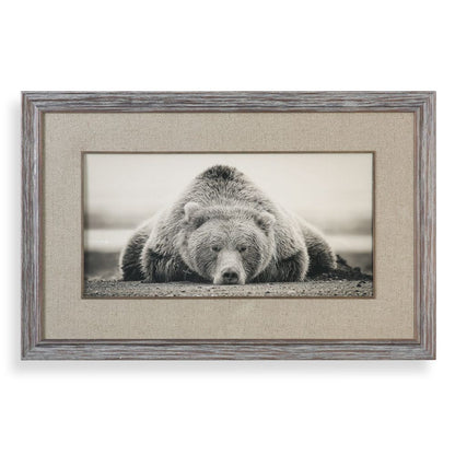 Cuadro  Oso