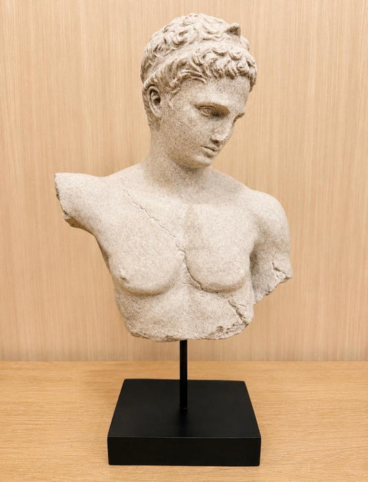 Busto Fabio